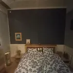 Warm Comfy Home
