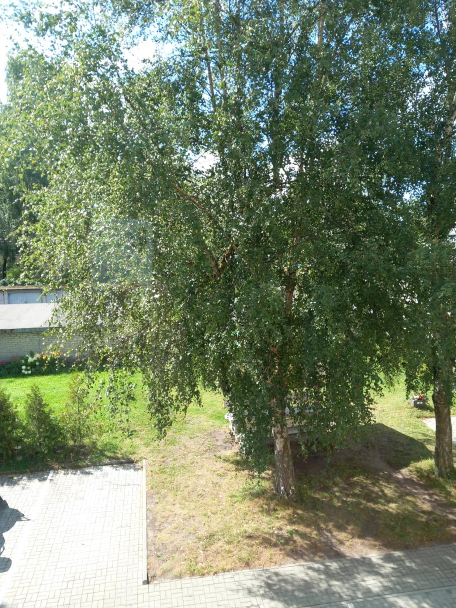 Warm Comfy * Tallinna